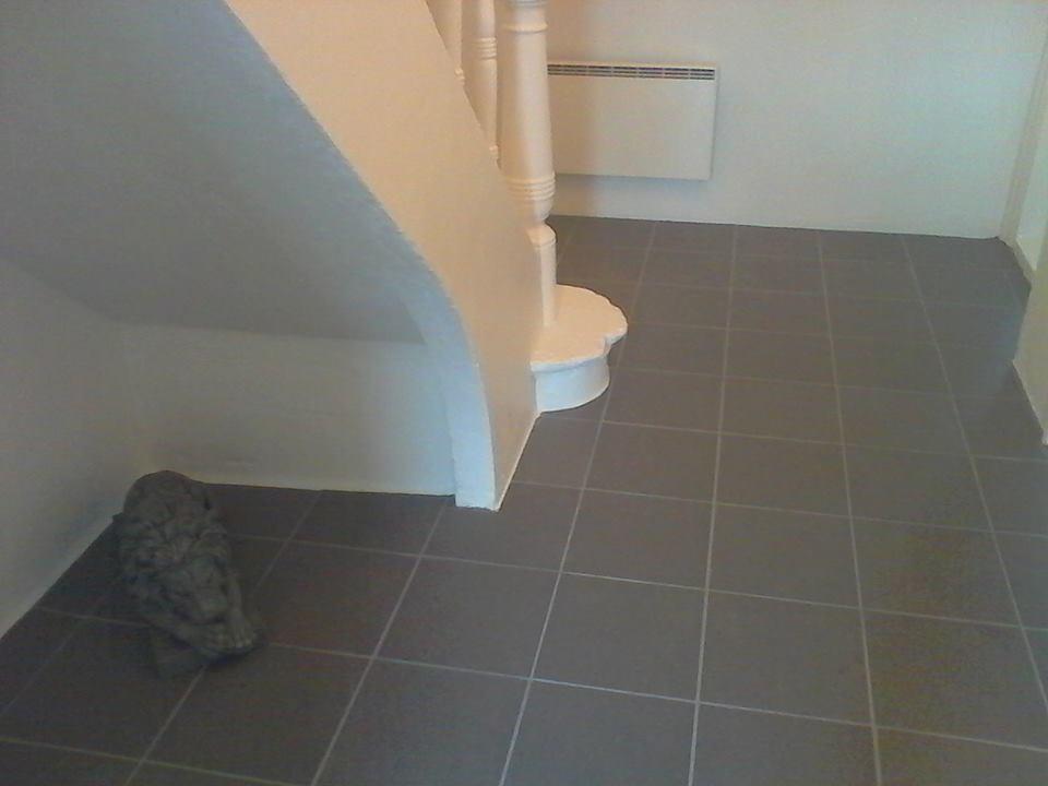 Kósý Vík Apartman Kültér fotó